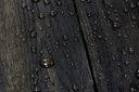 8484-picture_additional