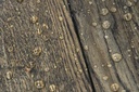 8060-picture_additional