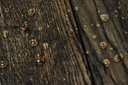 8069-picture_additional