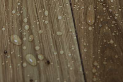 8465-picture_additional