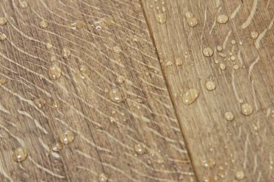 8485-picture_additional